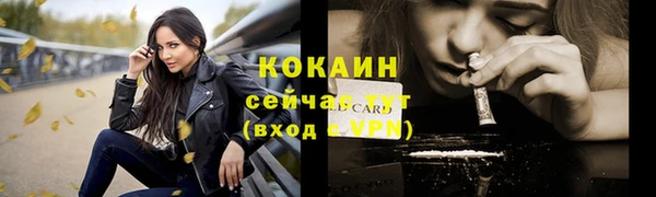 мет Бородино
