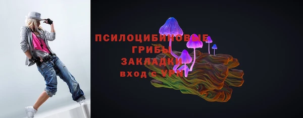 мет Бородино