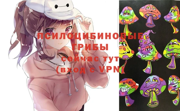 мет Бородино