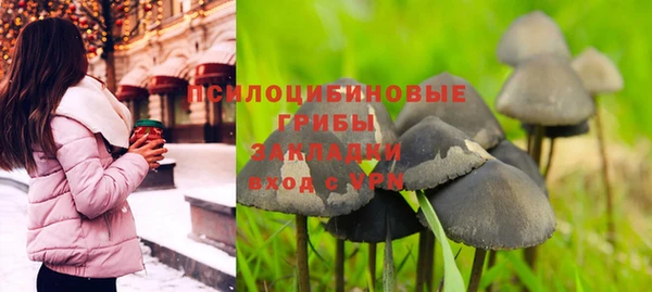 мет Бородино